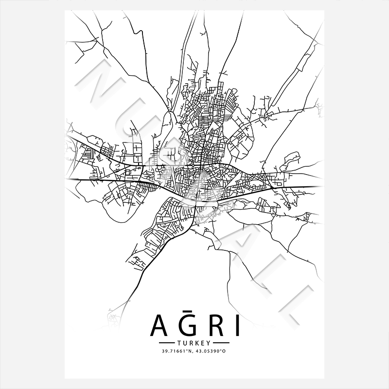 04 Ağri City-Map