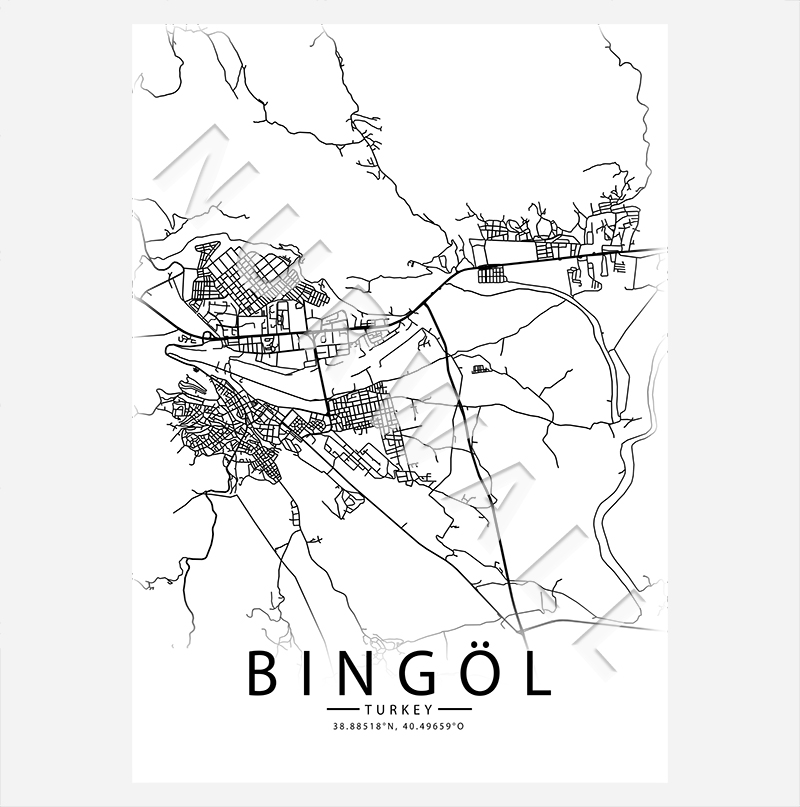 12 Bingöl City-Map