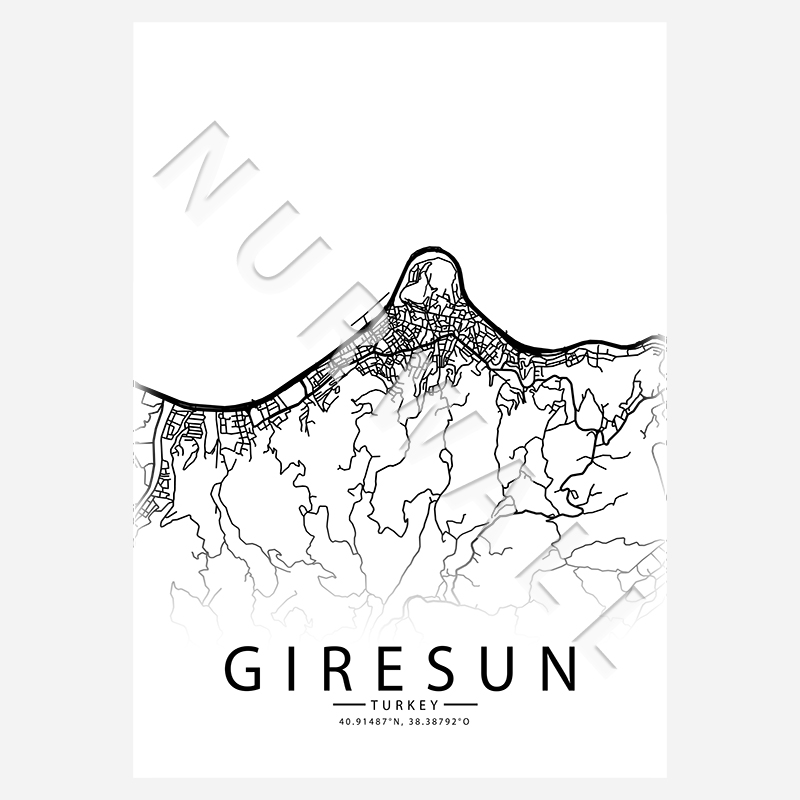 28 Giresun City-Map
