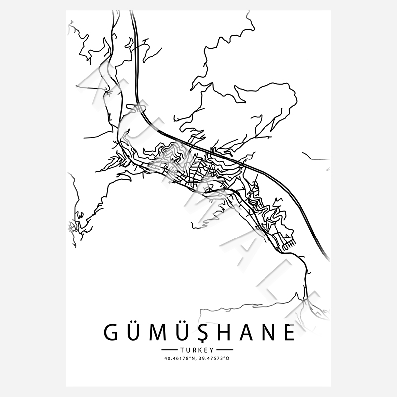29 Gümüşhane City-Map